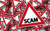 Triangle road signs that read "Scam". 