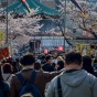 people walking down an outdoor street. 