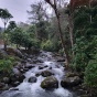 water going over rocks in a stream. 