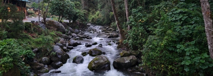water going over rocks in a stream. 
