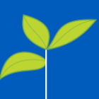Seedling illustration. 