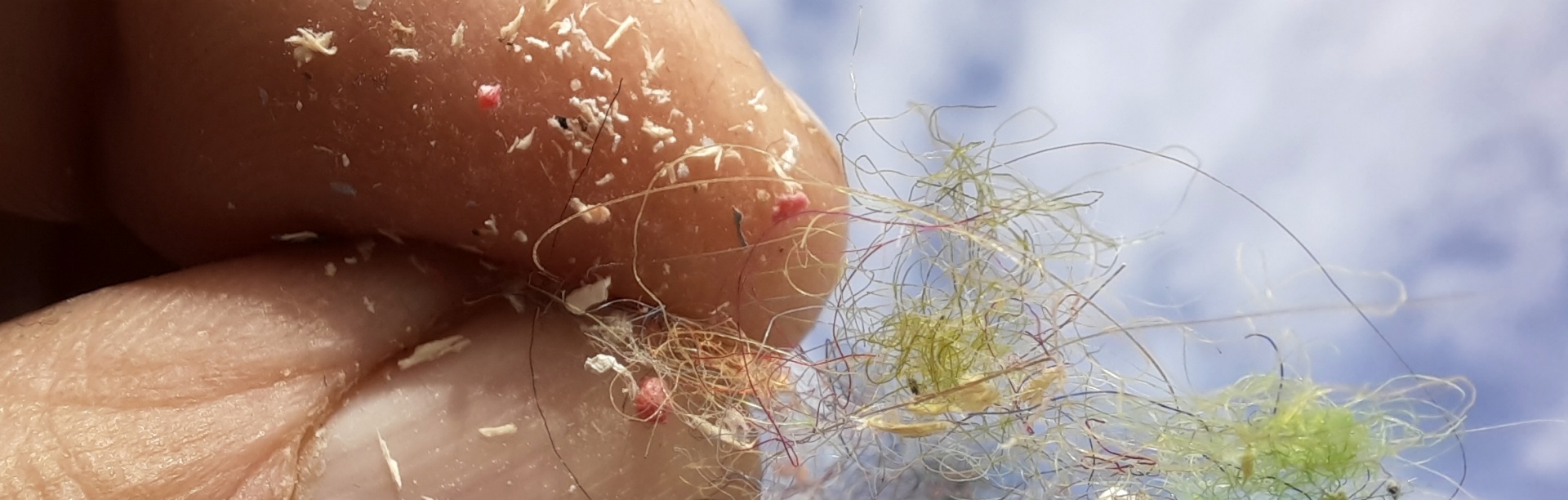close up of a hand holding microplastics.