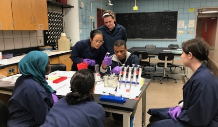 Summer students working in a lab. 
