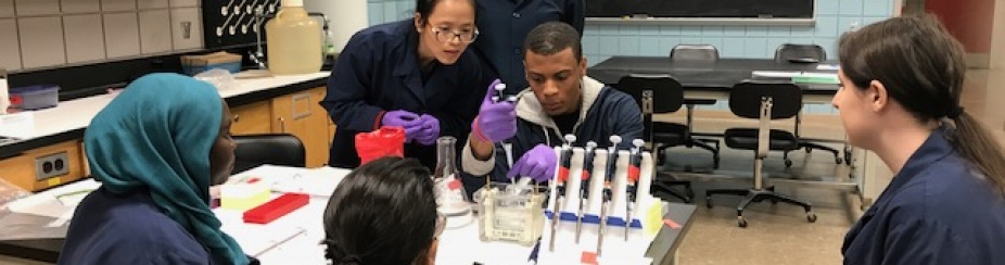 Summer students working in a lab. 