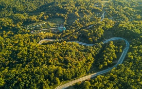 Road running through a green forest. 