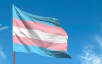a ping, blue and white flag for the transgender community. 