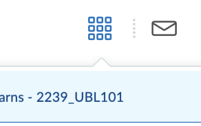 Screenshot of the Course Selector in UB Learns. 