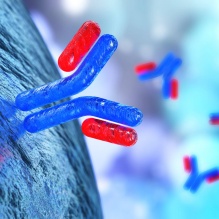 Development of Acid-Switch ADCs to Treat HER2 Expressing Solid Tumors. 