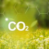 Problems and solutions of CO2 emission. 