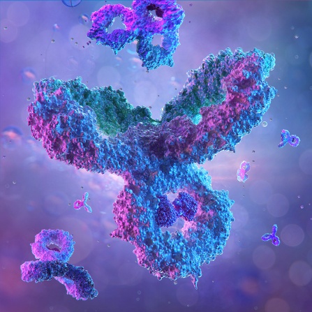 A microscopic visualization of antibodies rendered in vibrant neon colors against a purple-blue background. The central Y-shaped antibody structure is prominently displayed in bright turquoise and magenta, with several smaller antibody molecules floating around it. The image has a detailed, textured appearance showing the molecular structure of the antibodies with a dreamy, ethereal quality enhanced by the soft bokeh effect in the background. 