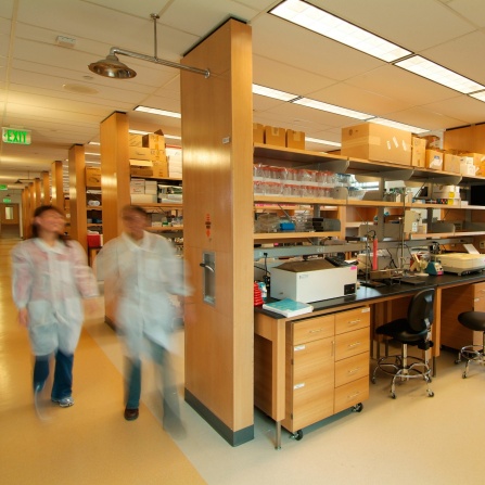 cbls-lab_crop.jpg. 