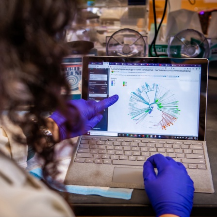 Work happening in the lab led by Jennifer Surtees (right) and Don Yergeau, within the Department of Biochemistry, in the Jacobs School of Medicine & Biomedical Sciences, in the Center Bioinformatics Life Sciences (CBLS) in February 2021. Photographer: Douglas Levere. 