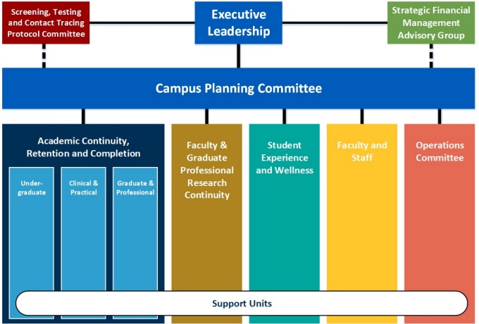 org chart showing the campus planning committee overseeing the rest of the planning committees and executive leadership and financial management on top. 
