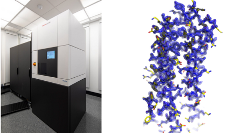 cryo-em picture. 