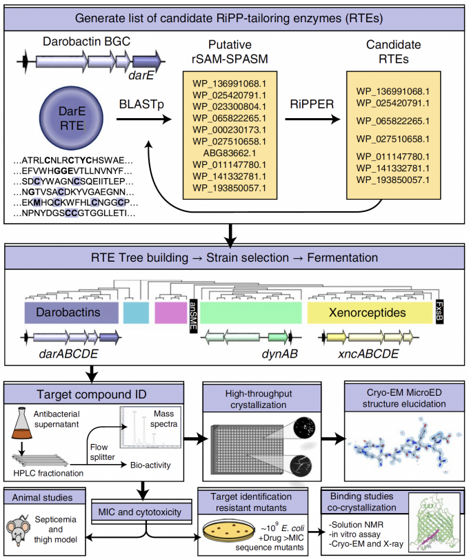 diagram of crystall process. 