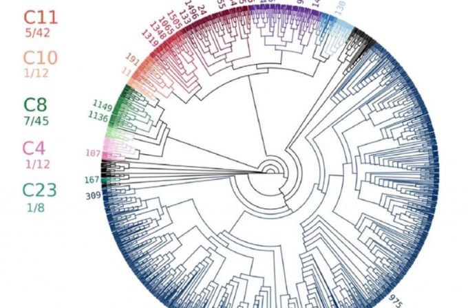 wheel of computer info. 