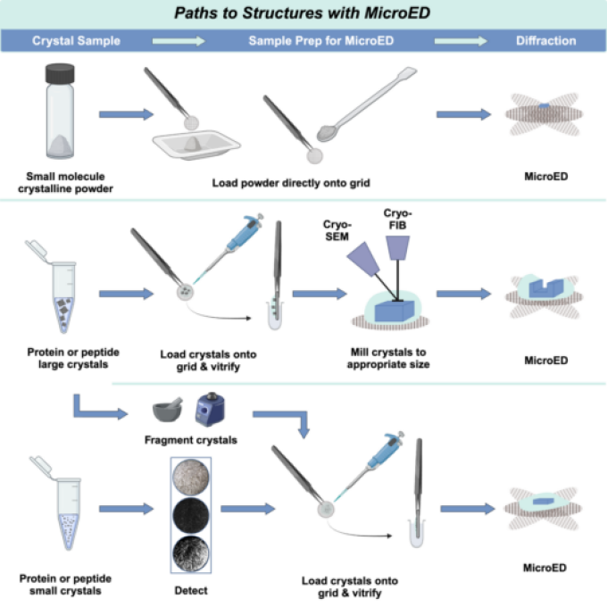 various paths to establish microEd are shown. 