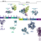 protein images. 