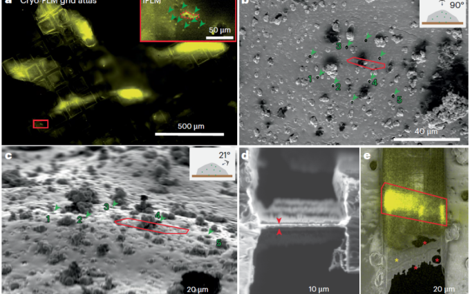 example images of the tiniest crystals captured using a technique called Microcrystal Electron Diffraction. 