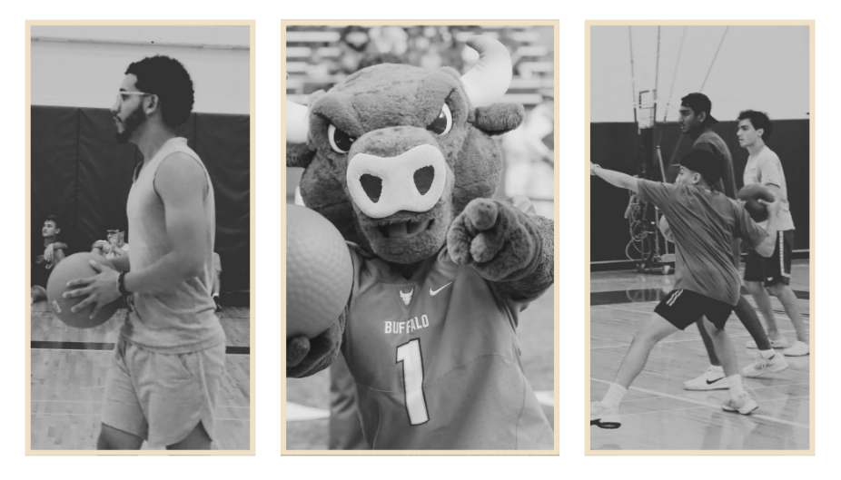 Three black-and-white photos framed side by side: on the left, a person holding a basketball in a gym; in the center, a UB bull mascot pointing toward the camera while holding a ball; on the right, a group of students playing dodgeball in a gymnasium. 