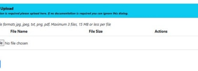 Document upload screen within request. 