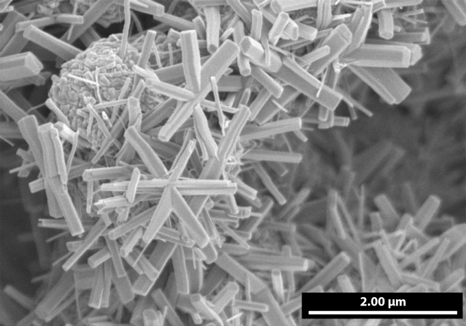 View of microscoptic particles of vanadyl hydroxide (VOOH) shaped like stars. 