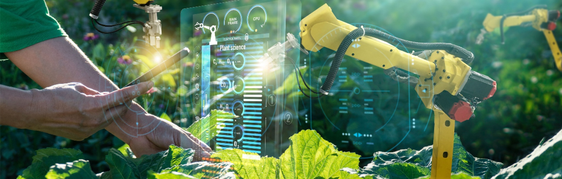 Scientist collecting data while robot assists in monitoring vegetable production. 