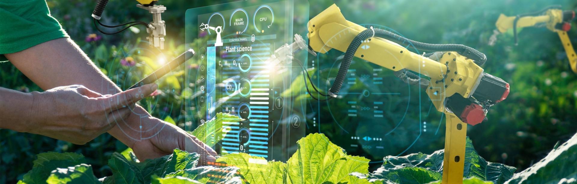 Scientist collecting data while robot assists in monitoring vegetable production. 