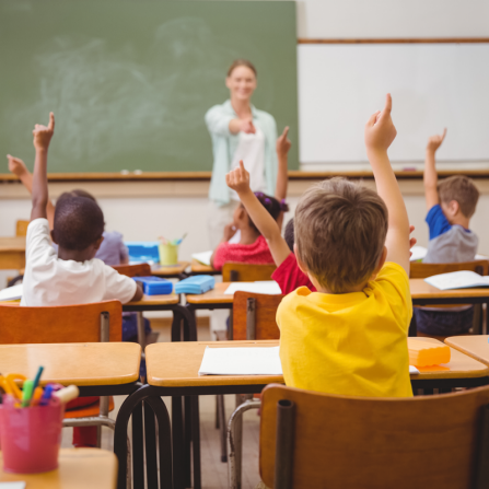 Pupils raising hands during class elementary school. 