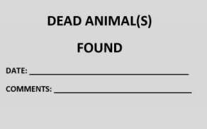 Dead animal(s) found card for lab animals. 