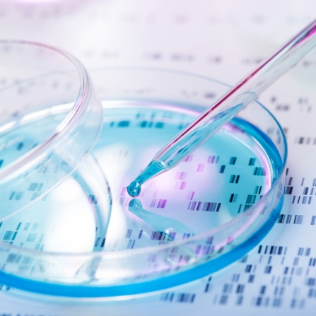 DNA sample being pipetted into petri dish with DNA gel in background. 