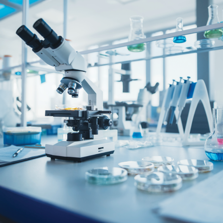 Microscope and petri dishes in a laboratory. 