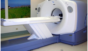 GE PET/CT SCANNER FOR LARGE ANIMALS:. 