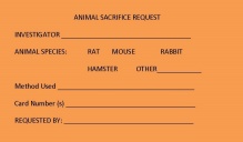 Animal Sacrifice. 
