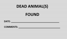 Dead Animals. 