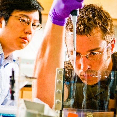 Researchers in a laboratory. 