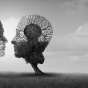 duality. 
