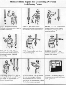 Zoom image: Figure 11.1: Standard hand signals for controlling overhead and gantry cranes (click to enlarge) 