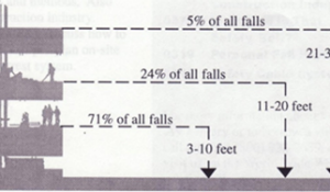 Zoom image: Figure 14.2: Statistics of falls from heights (click to enlarge) 