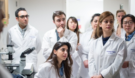 Saber Mearmardoost, Arezoo Momeni, Karstin Webber, George Techiryan, Na Rong, Samaneh M. Boroujeni and Bita Nasiri.