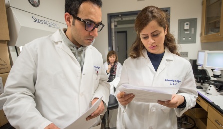 Saber Meamardoost and Samaneh Moghadasi. 