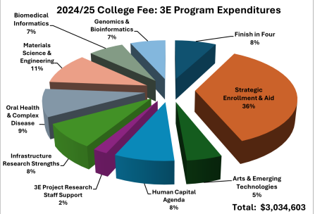 Zoom image: College Fee 2024-2025 3-e program expenditures