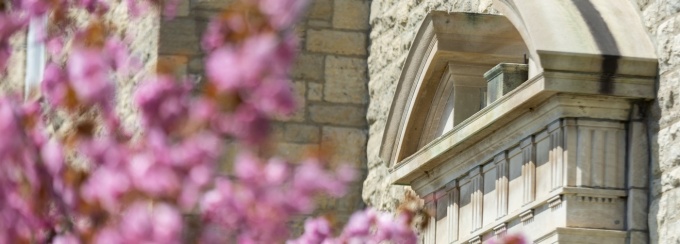 Pink flowers on South Campus. 