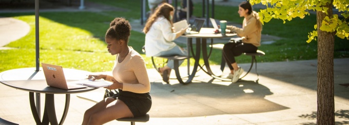 Students enjoy studying outdoors on a summer day. 