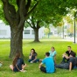 a group of students sitting under a tree on south campus. 