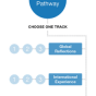 UB Curriculum - Global Pathway Graphic/Map of Tracks. 
