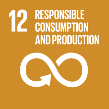 Sustainable Development Goals 12 responsible consumption and production icon. 