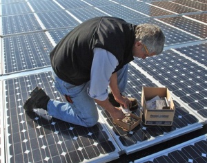 person bending over solar panels on roof. 