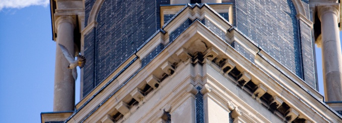 Peregrine falcon flying infront of south campus building at UB. 