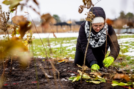 UB giving day ub sustainability special projects fund graphic. 